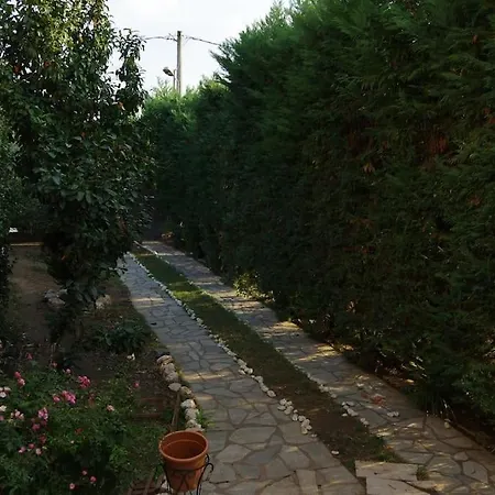 Villa Vasili Trikala  Exterior photo