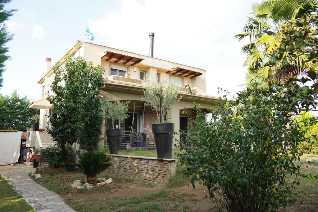 Vasili Villa Trikala (Thessaly)